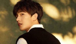 娱乐爆料说杨洋是谁,娱乐爆料中的神秘魅力