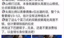 四川网红爆料事件视频播放,视频播放引发热议，真相究竟如何？